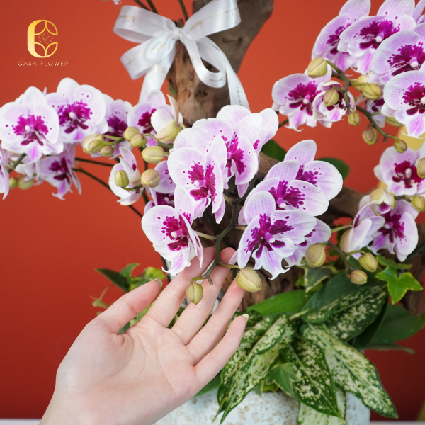 100+ Mẫu hoa sự kiện, hội nghị đẹp nhất 1 4