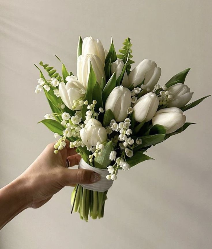 06ccc9c5e0277de2b2682109c597b400