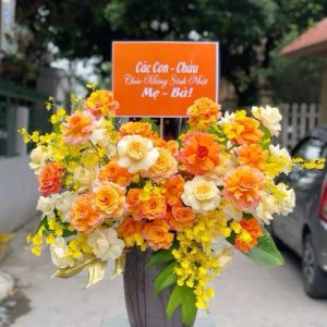 C013 - RỰC RỠ SẮC MÀU