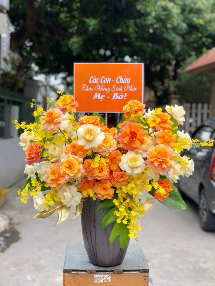 C013 - RỰC RỠ SẮC MÀU