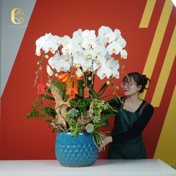 LAN HỒ ĐIỆP "BÁCH NIÊN HẢO HỢP" 3 3