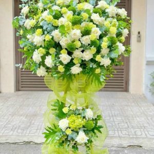 KT010 - VẠN ĐIỀU MAY