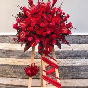 KT004 - KHAI TRƯƠNG PHÁT LỘC