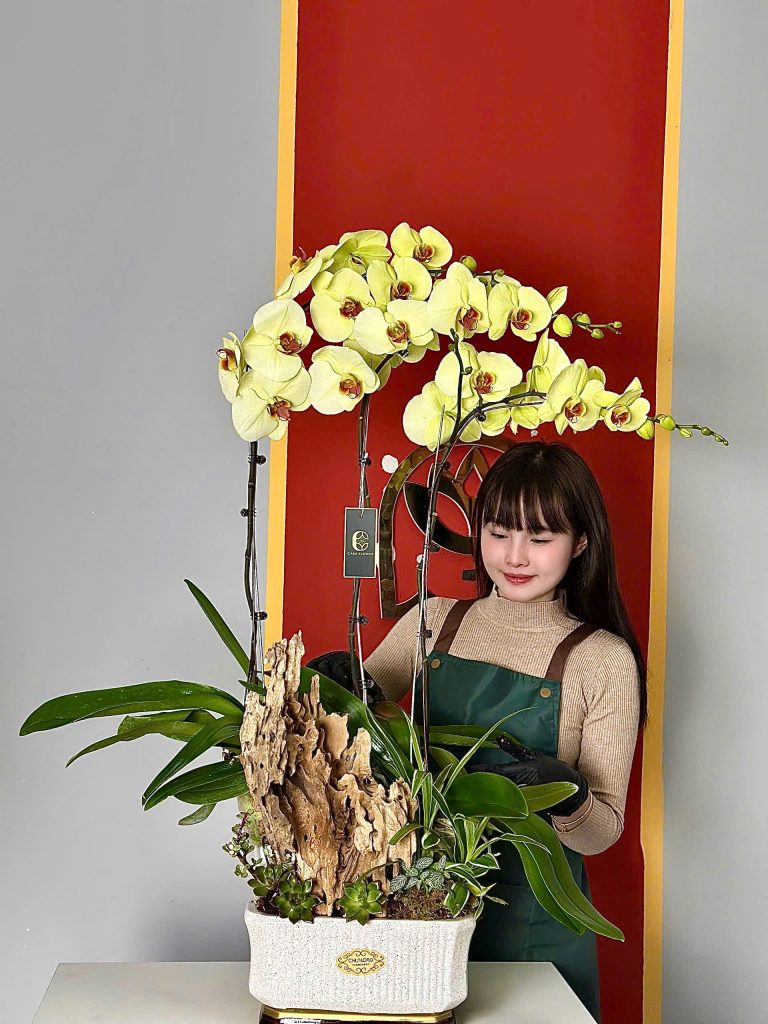 z6191518207583 4b40b272fcadbfb27790d6df3f7cd08c