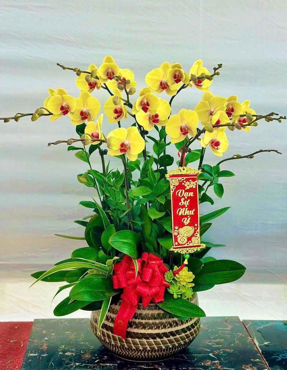 CHẬU LAN HỒ ĐIỆP "VẠN PHÚC" 1 Hoa lan hồ điệp