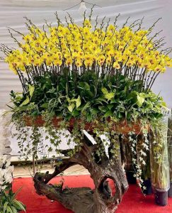 z6220468626109 3ba3a45c1d5927697f002a01f7e47f9e