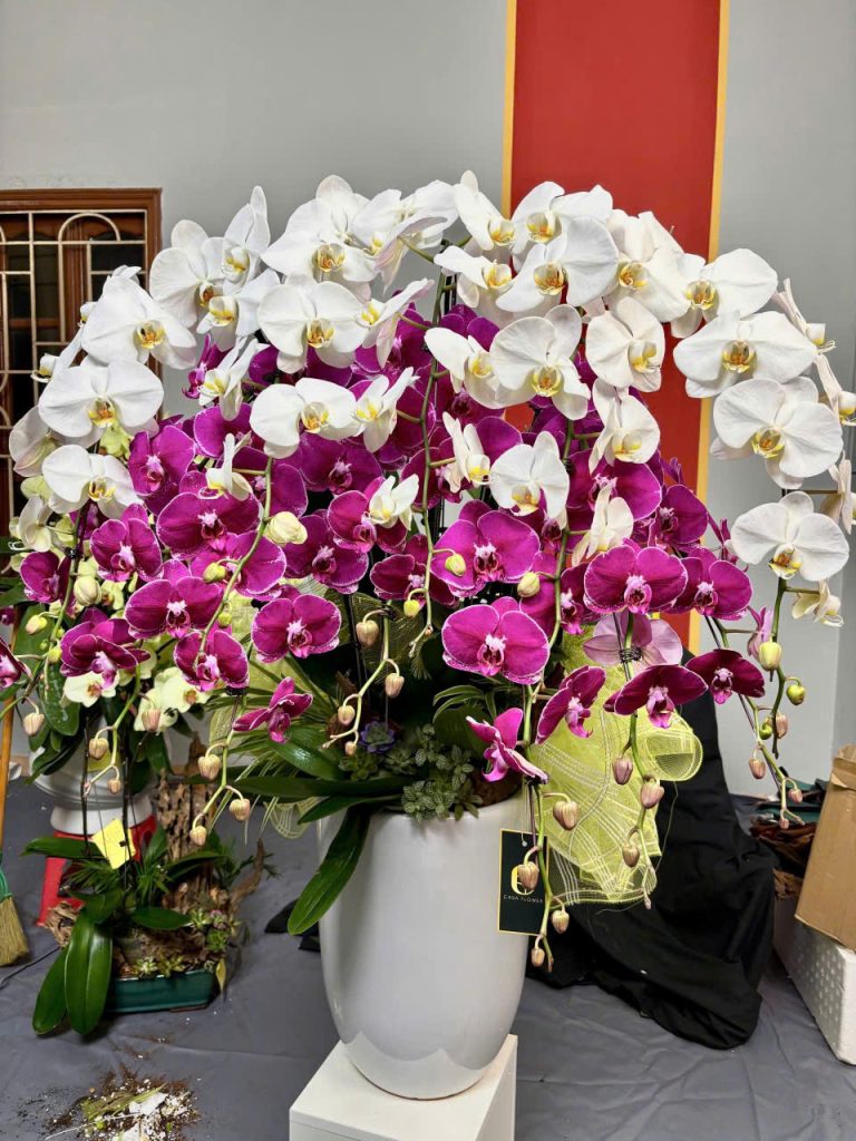 z6230336411103 be8fcf36c9fbf55eb5c7f6474ee039bb