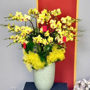 CHẬU XUÂN PHÁT LỘC