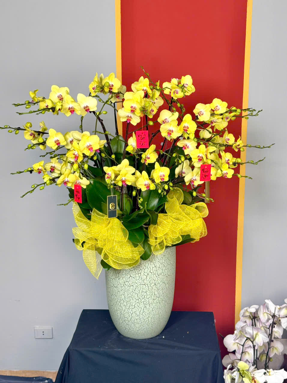 CHẬU XUÂN PHÁT LỘC