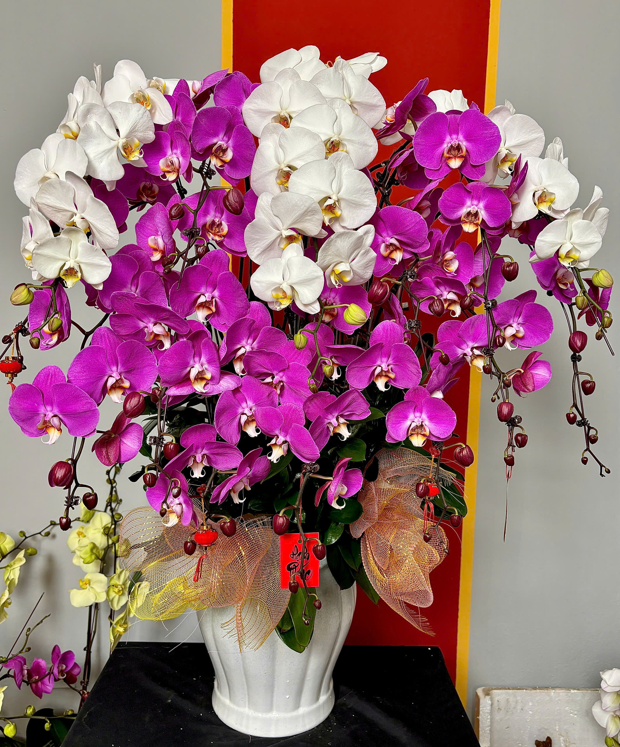 XUÂN AN YÊN - CHẬU LAN HỒ ĐIỆP