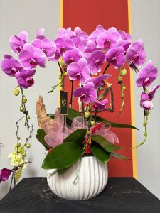 z6262897958586 d8e0788b99fb218d3b304493653d8fcc