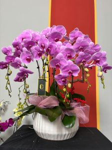 299+ Mẫu hoa tươi đẹp tặng mẹ, vợ, bạn gái nhân ngày 8/3 3 z6262897964611 7ab26681076ab576ddbcd0bbc12c4b6d