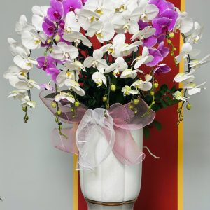 Lan Hồ Điệp Mix Trắng Tím 10 Cây