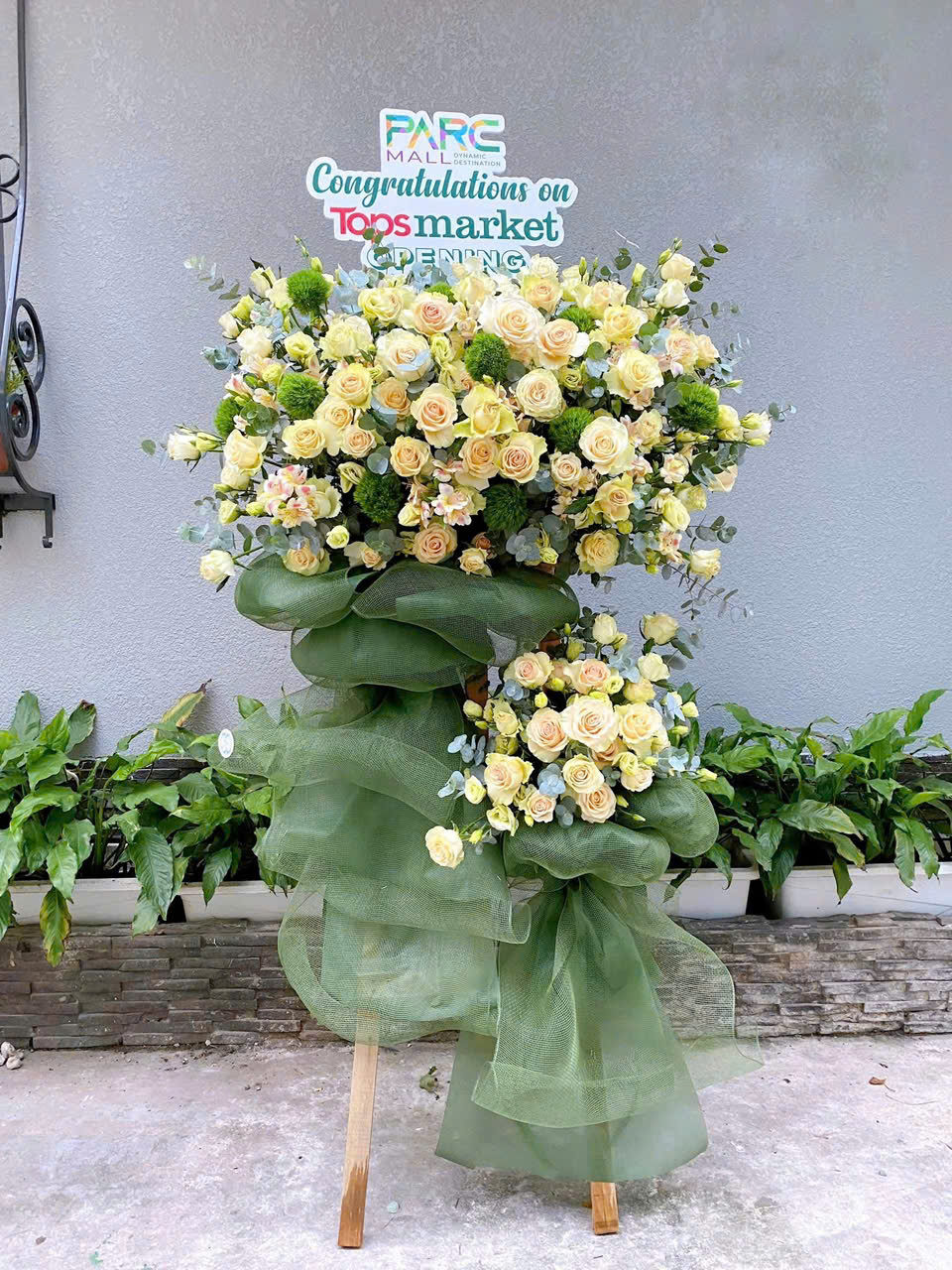 KT012 - HOA KHAI TRƯƠNG