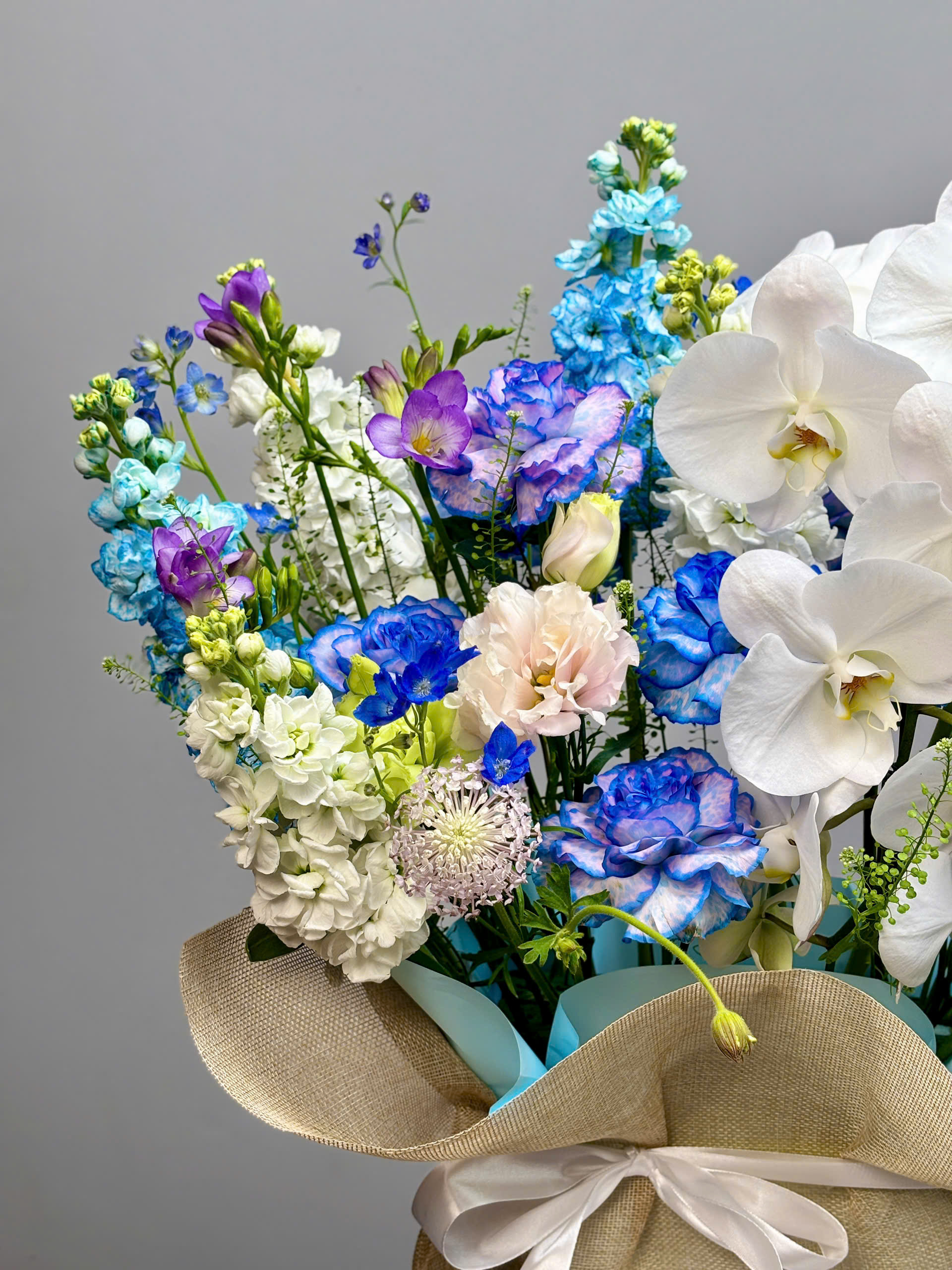 KHU VƯỜN CỔ TÍCH 2 z6303662765986 a45507f498d63cf1a07ab901d13f0b4d