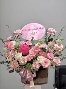 481261791 122115800144701246 7627579834189649770 n