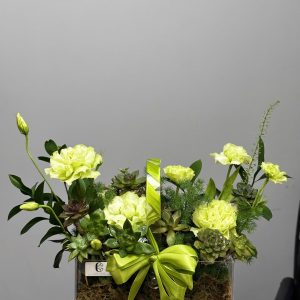 HỘP HOA - KHU VƯỜN XANH