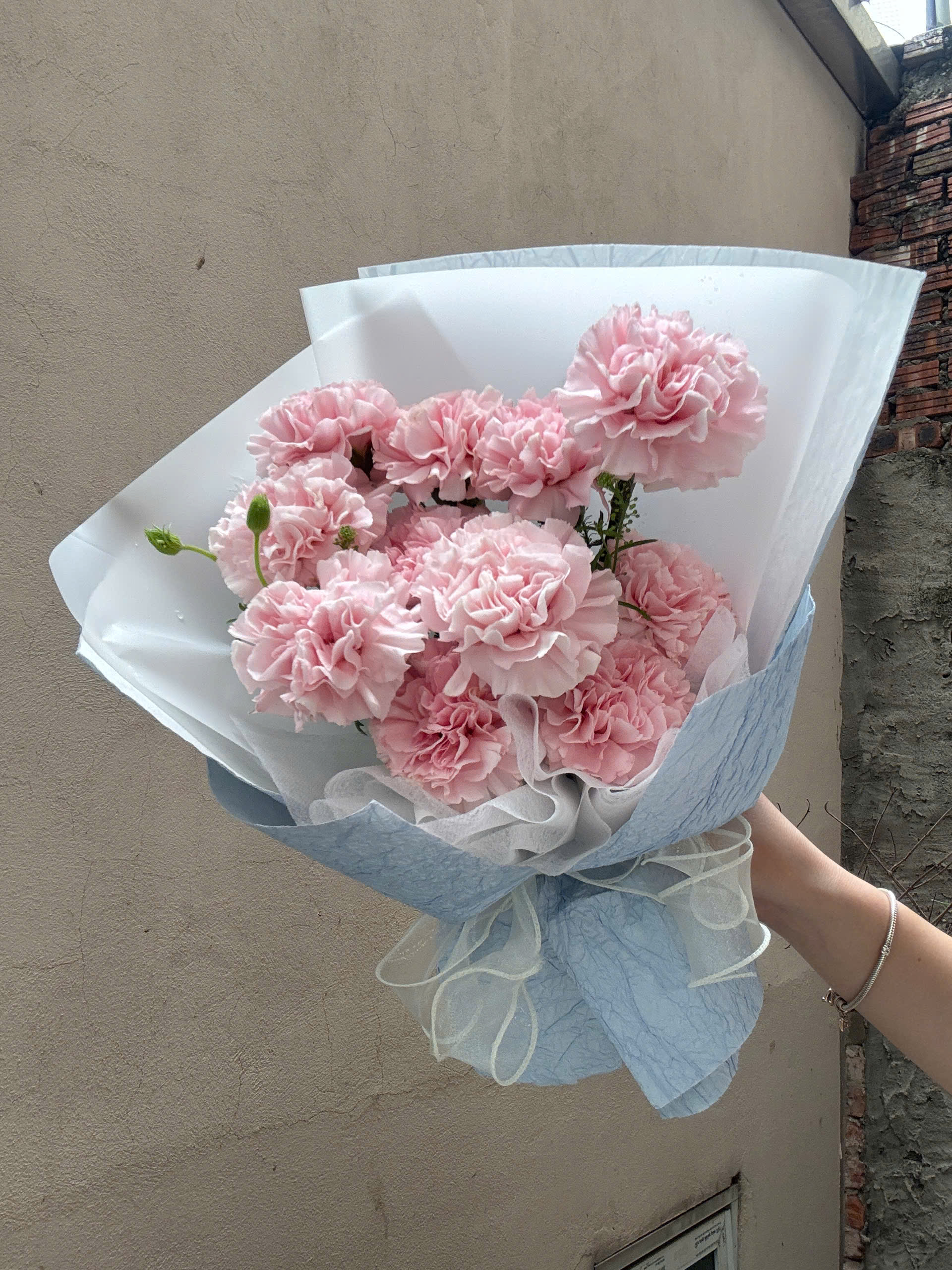 BÓ HOA CẨM CHƯỚNG HỒNG 4 z6487435160941 a35f73472a30a56d480bfc0cd8a8c524