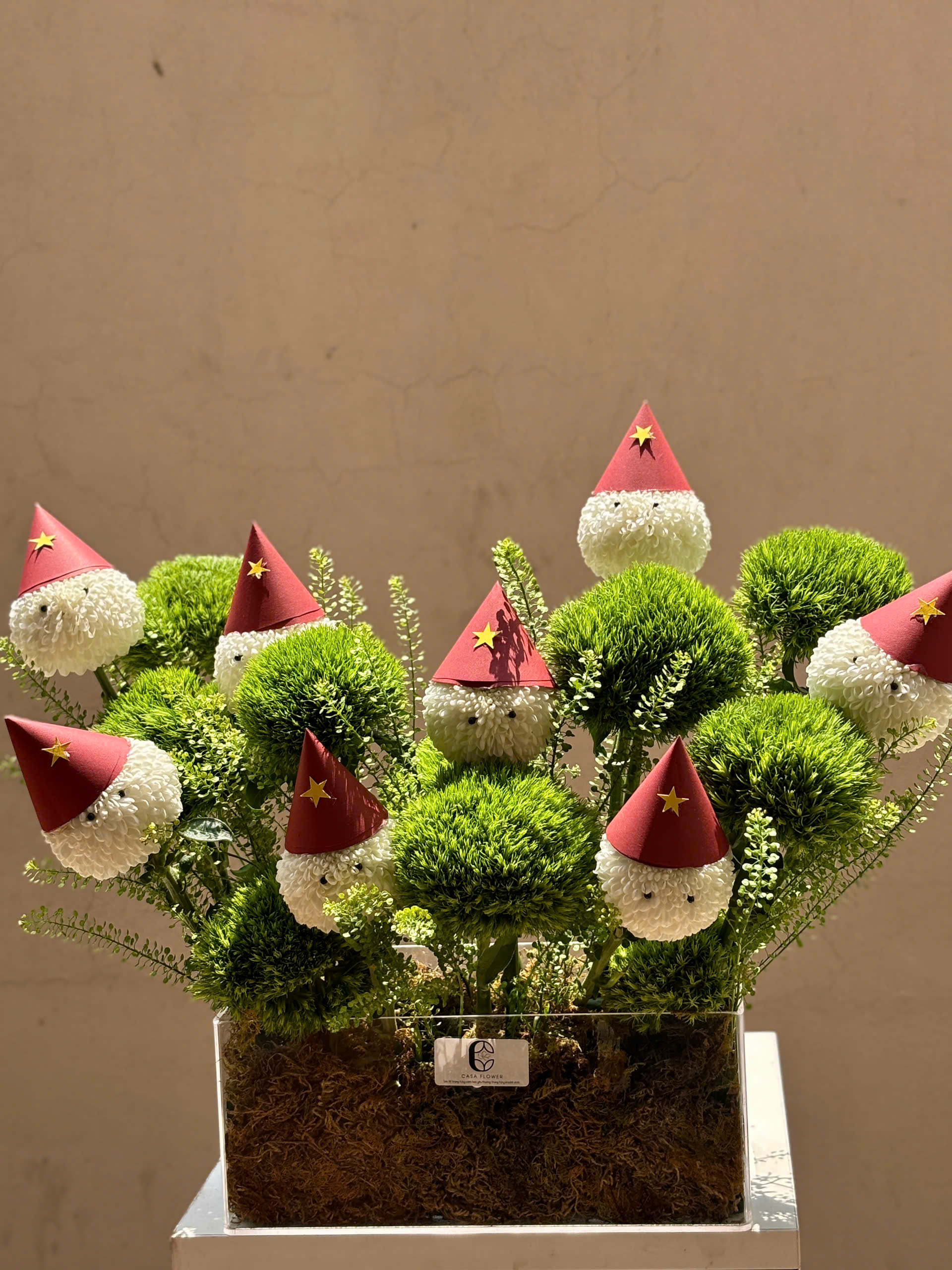 BOX HOA "ĐỘC LẬP" 2 z6539913209657 69721278a0832aa77097999b51e67f7a