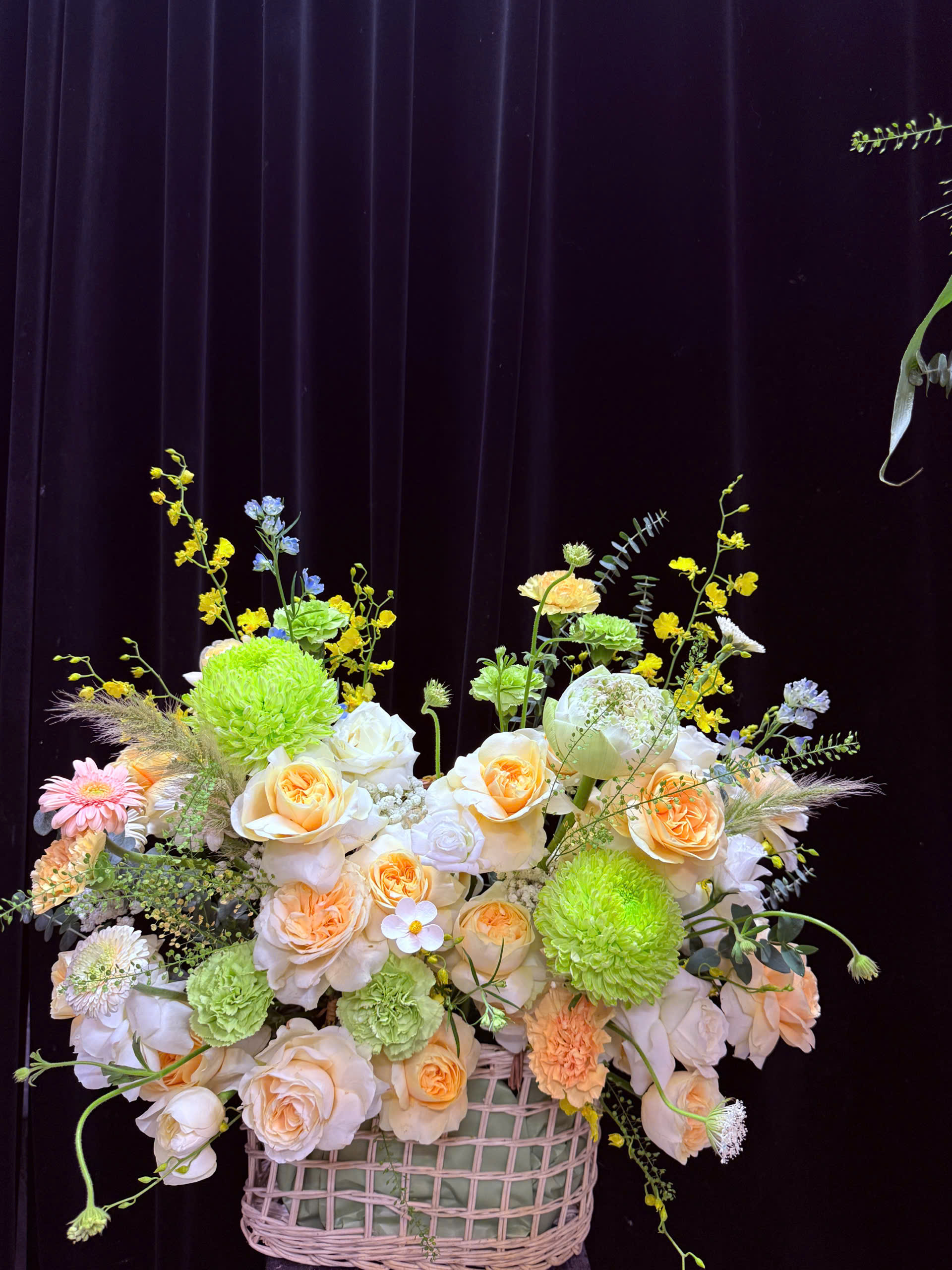 HOA CHÚC MỪNG TONE CAM | PHONG CÁCH GARDEN 2 z6688551941420 6918a52a92f71eb076a0e6a2e3dab3bf