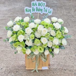 Lẵng Hoa Chúc Mừng Tone Xanh CS-117