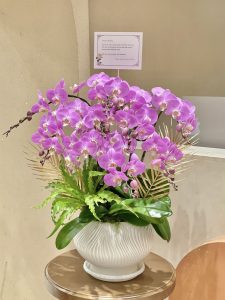 Chậu Lan Tím Sáng Decor LT06-2025