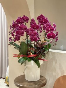 Chậu Lan Tím Decor 9 Cành LT03-2025