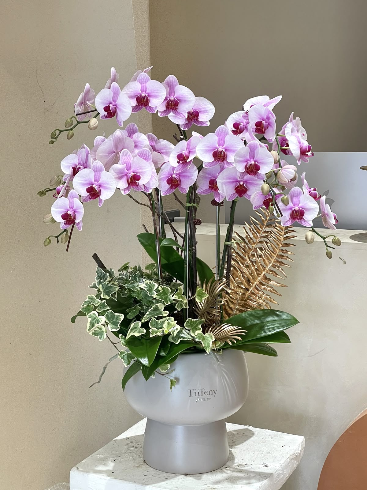 Chậu Lan Trắng Tím TT01-2025 1 7b29cbcde81cd9fe975f791e3a73d844