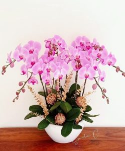 Chậu Lan Để Bàn Tím Đại Decor LT04-2025